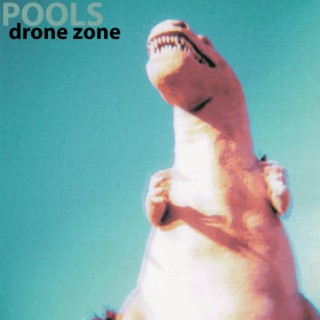 Drone Zone EP