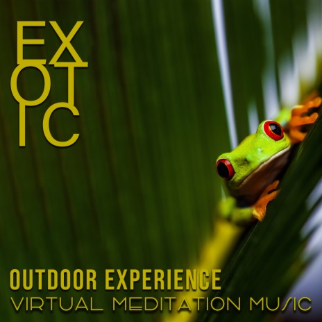 Peruvian Afternoon in the Jungle for Flute | Boomplay Music