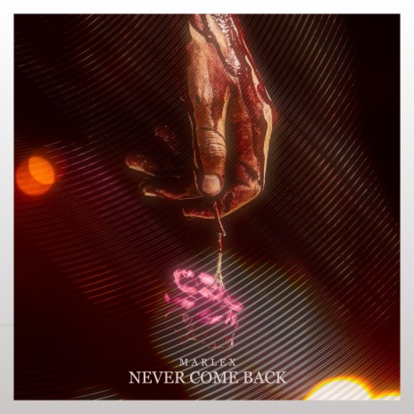 Never Come Back | Boomplay Music