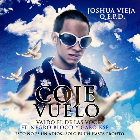 Coje vuelo | Boomplay Music