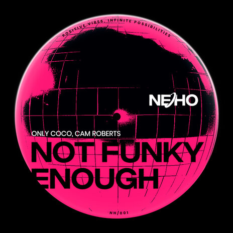 Not Funky Enough ft. Cam Roberts (US)