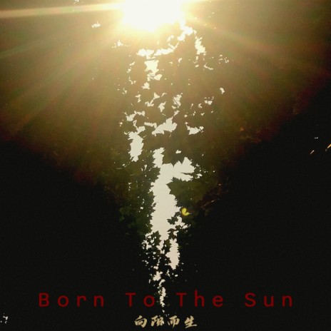 Born To The Sun | Boomplay Music