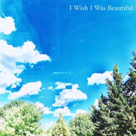 I Wish I Was Beautiful | Boomplay Music