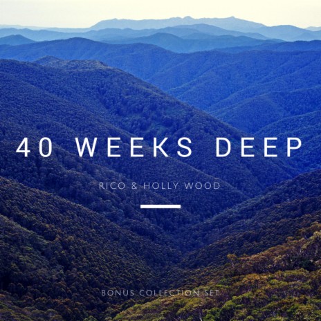 40 Weeks Deep (feat. Holly Wood) (Radio Version) | Boomplay Music