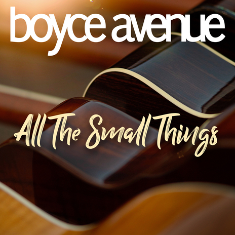 All the Small Things | Boomplay Music