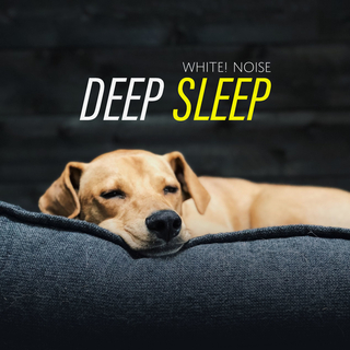 Deep Sleep