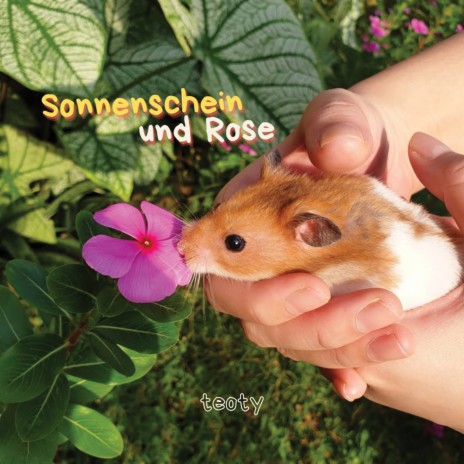 Sonnenschein Und Rose | Boomplay Music