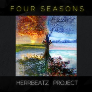 Herrbeatz Project