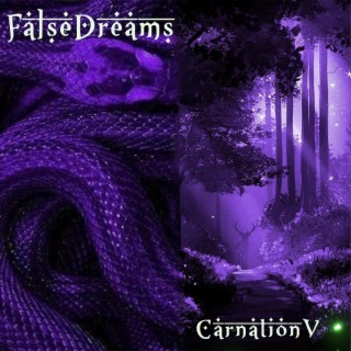 False Dreams