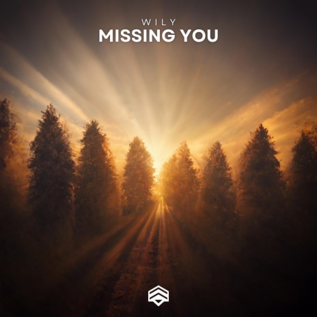 Missing You | Boomplay Music