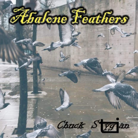 Abalone Feathers | Boomplay Music