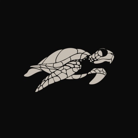 Tortue | Boomplay Music