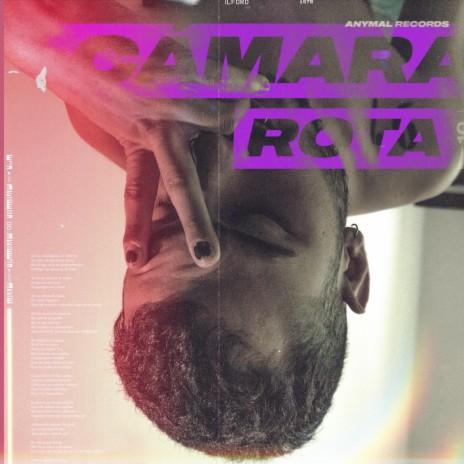 Cámara Rota | Boomplay Music