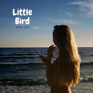 Little Bird lyrics | Boomplay Music