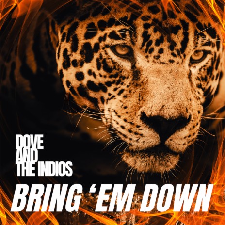 Bring 'em Down ft. The InDios | Boomplay Music