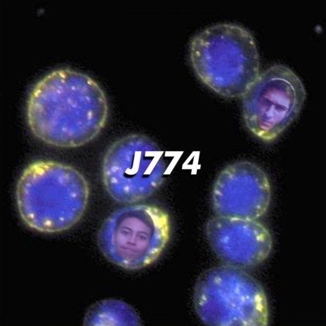 J774 ft. Jayhmez | Boomplay Music