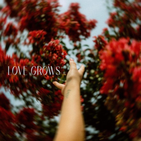 Love Grows (Where My Rosemary Goes)