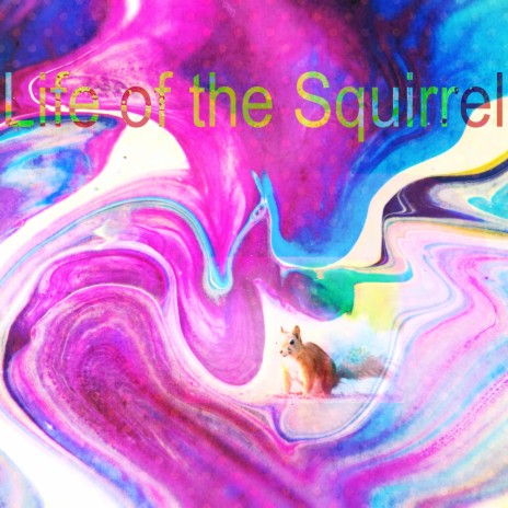 Life of the Squirrel | Boomplay Music