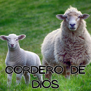 Cordero de Dios