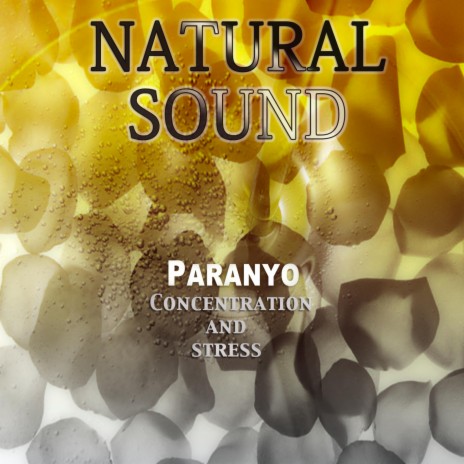 Natural Sound Concentration and Stress | Boomplay Music