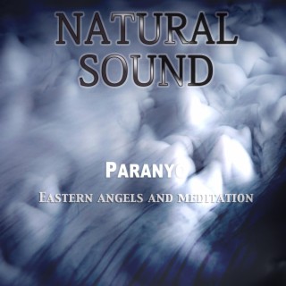 Natural Sound Eastern Angels and Meditation