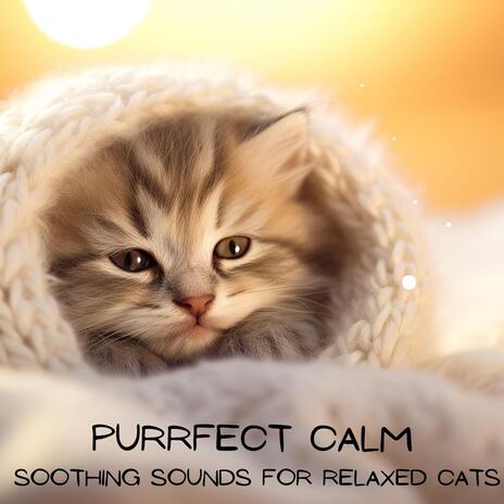 Purring Peacefully ft. Cat Music Dream, Cats Purring, Cats Music Zone & Sleepy Cats!