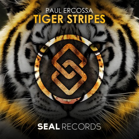 Tiger Stripes | Boomplay Music
