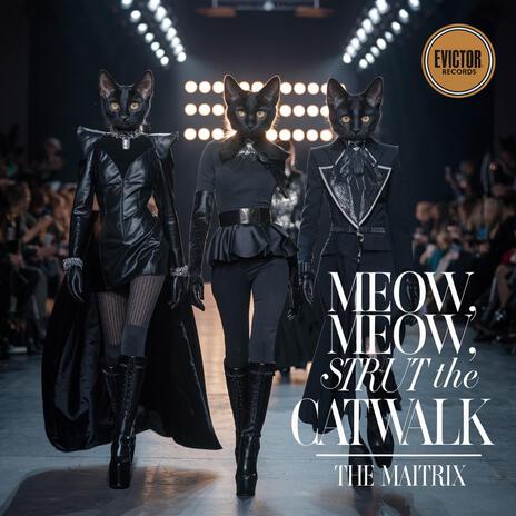 Meow, Meow, Strut the Catwalk | Boomplay Music