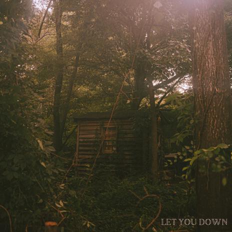 Let You Down | Boomplay Music