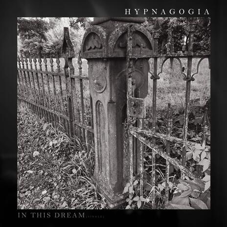 In This Dream ft. HYPNAGOGIA | Boomplay Music