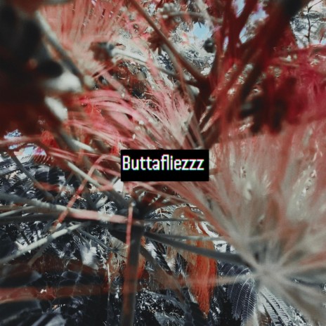 Buttafliezzz | Boomplay Music