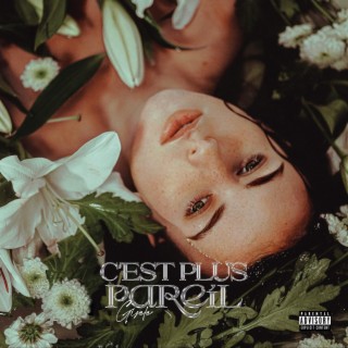 C'est plus pareil lyrics | Boomplay Music