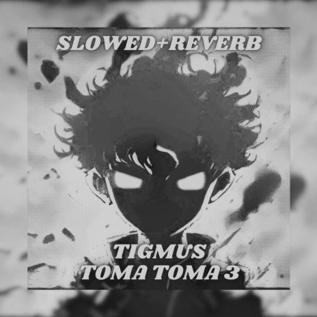Toma Toma 3 (Brazilian Phonk) [Slowed + Reverb] | Boomplay Music