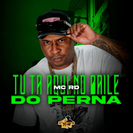 Tu Ta Aqui no Baile do Perna ft. DJ Pernambuco & DJ Bill | Boomplay Music