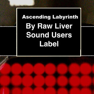 Ascending Labyrinth