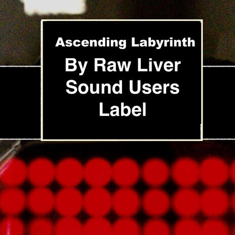 Ascending Labyrinth | Boomplay Music