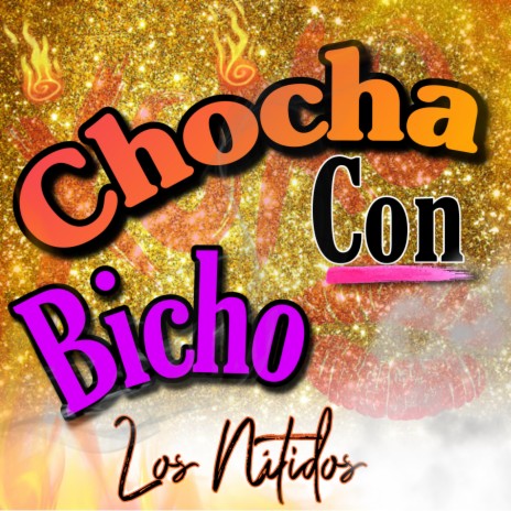 Chocha Con Bicho | Boomplay Music