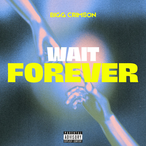 Wait Forever | Boomplay Music