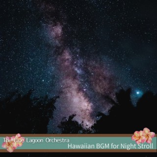 Hawaiian Bgm for Night Stroll
