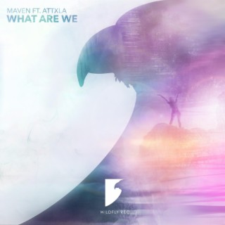 What Are We (feat. Attxla)
