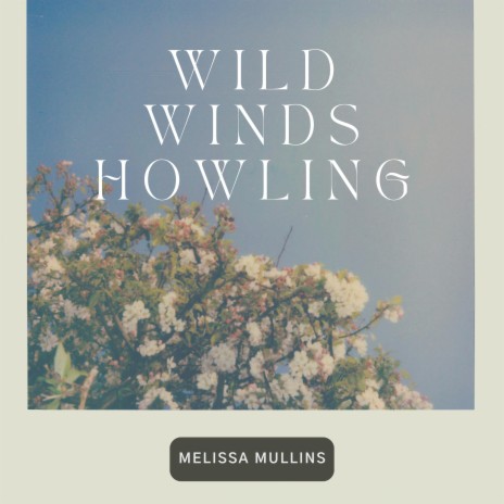 Wild Winds Howling | Boomplay Music
