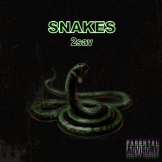 Snakes