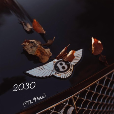 2030 | Boomplay Music