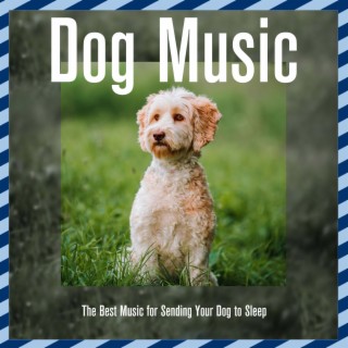 Dog Music: The Best Music for Sending Your Dog to Sleep