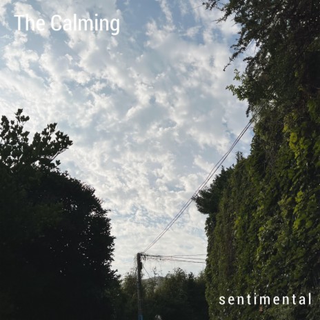 The Calming | Boomplay Music