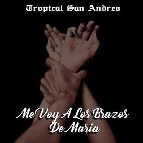 Me Voy a los Brazos de Maria | Boomplay Music