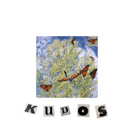 Kudos | Boomplay Music