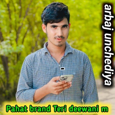 Pahat Brand Teri Deewani m
