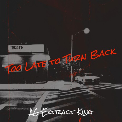 Too Late to Turn Back | Boomplay Music