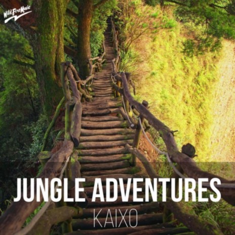 Jungle Adventures | Boomplay Music